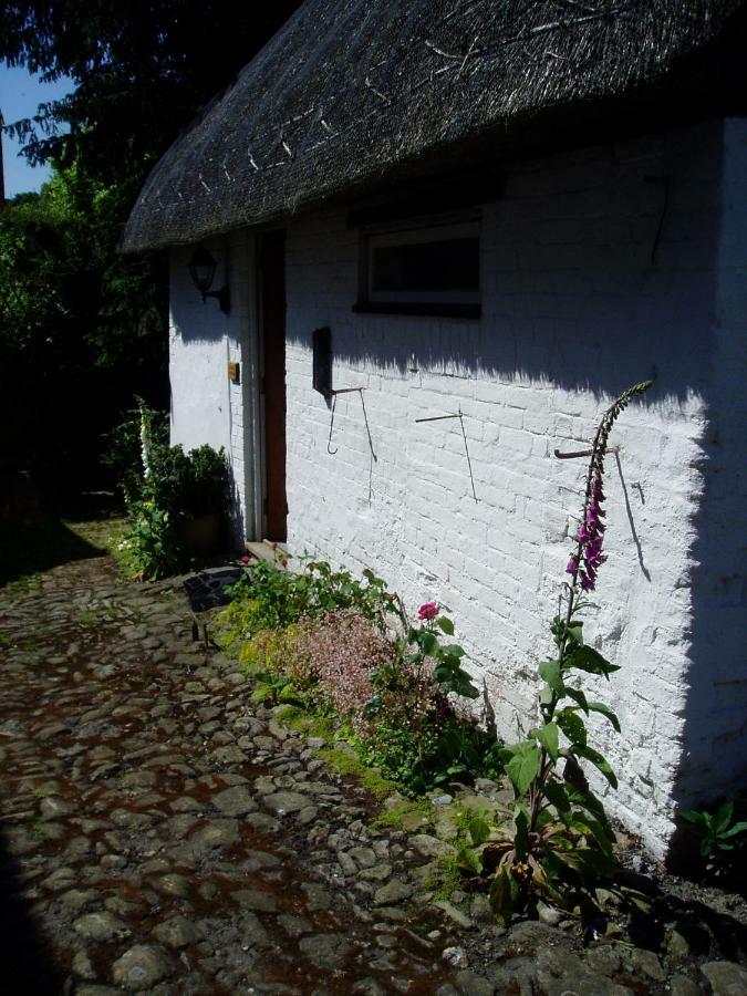 Stable Cottage Devizes Zewnętrze zdjęcie